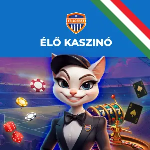 Krupiének öltözött macska karakter rulettkerékkel, kártyákkal és zsetonokkal.